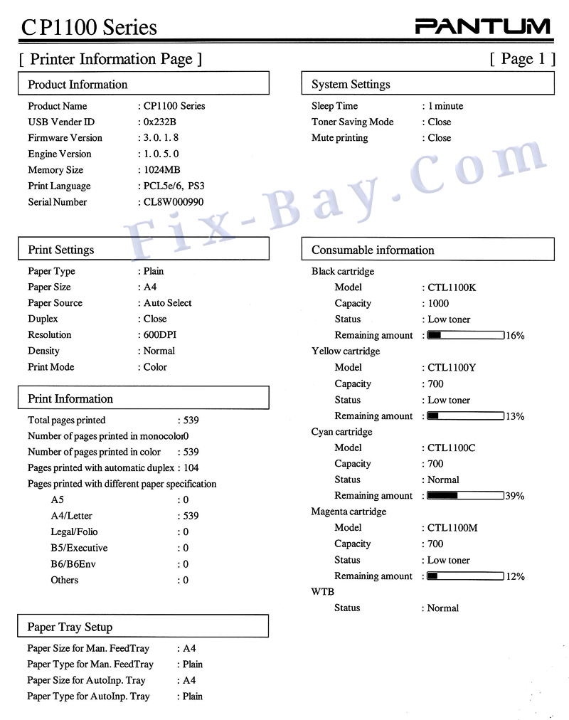 Отчёт Printer Information Page CP1100